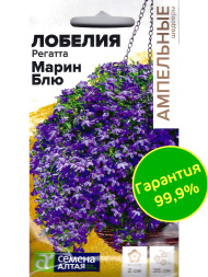 Лобелия Регатта Марин Блю [Семена алтая]