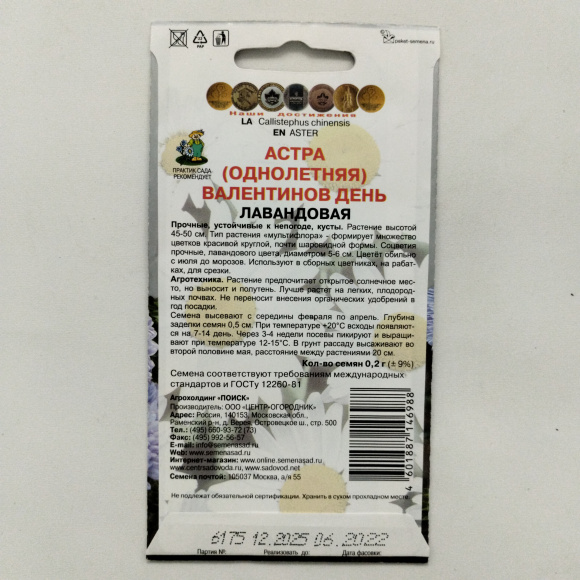 Астра Валентинов день Лавандовая [Поиск] купить с доставкой