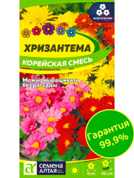 Хризантема Корейская смесь [Семена алтая]