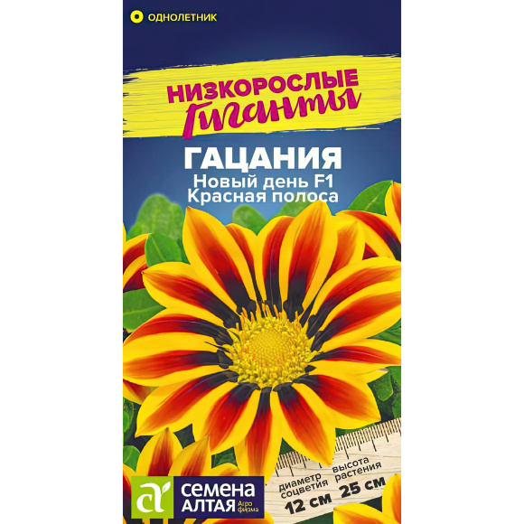 Гацания Новый день Красная полоса [Семена алтая] купить с доставкой