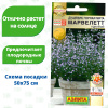 Душевик Горная мята марвелетт Голубой [Аэлита]