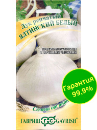 Лук Ялтинский белый [Гавриш]