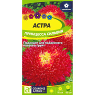 Астра Принцесса Сильвия [Семена алтая]