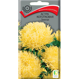 Астра коготковая Золотая [Поиск]