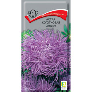 Астра коготковая Картейзер [Поиск]