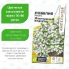 Лобелия Регатта Жемчужный Водопад ампельная [Семена алтая]