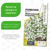 Лобелия Регатта Жемчужный Водопад ампельная [Семена алтая]