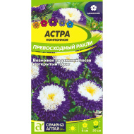 Астра Превосходный Ракли помпонная [Семена алтая]