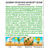 Душевик Горная мята марвелетт Белый [Аэлита]