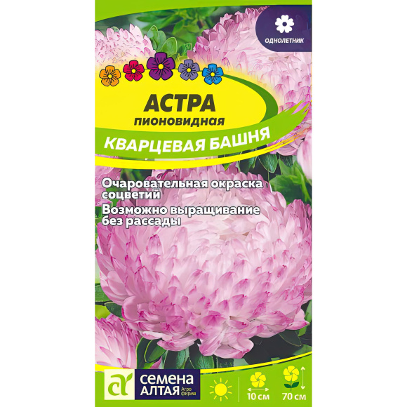 Астра Кварцевая Башня [Семена алтая] купить с доставкой
