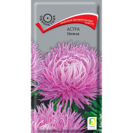 Астра Оленька [Поиск]