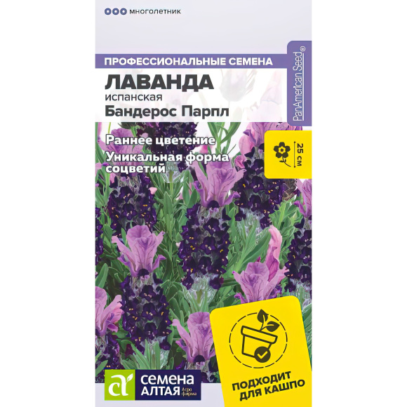 Лаванда Бандерос Парпл испанская [Семена алтая] с доставкой