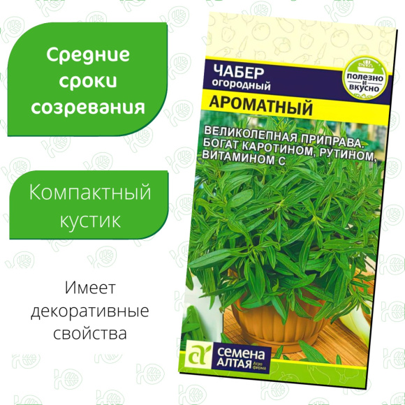 Чабер Ароматный [Семена алтая] купить с доставкой