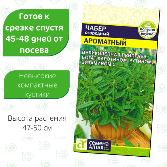 Чабер Ароматный [Семена алтая] купить с доставкой