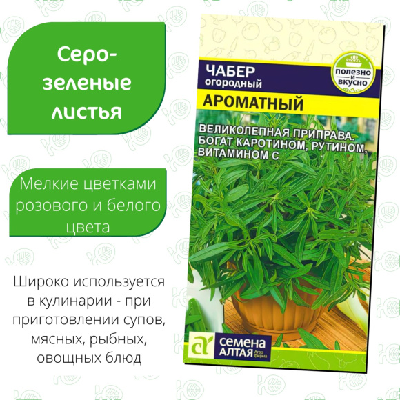 Чабер Ароматный [Семена алтая] купить с доставкой