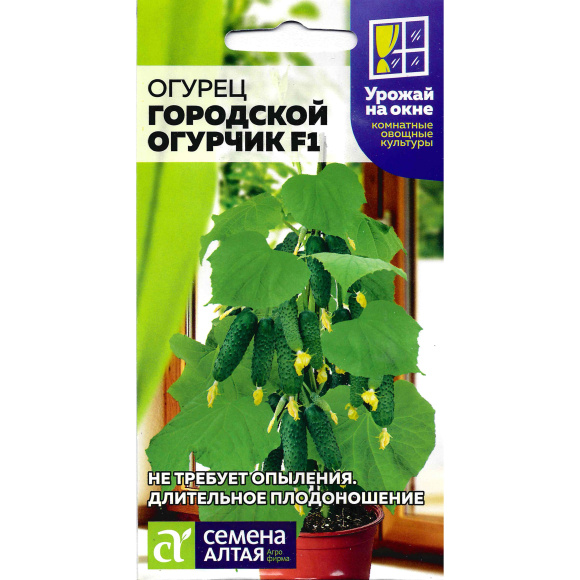 Огурец Городской Огурчик [Семена алтая] купить с доставкой