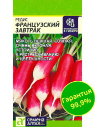 Редис Французский завтрак [Гавриш]