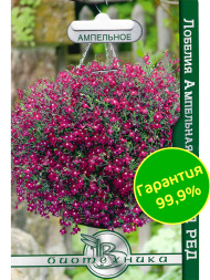 Лобелия Каскад ред [Биотехника]