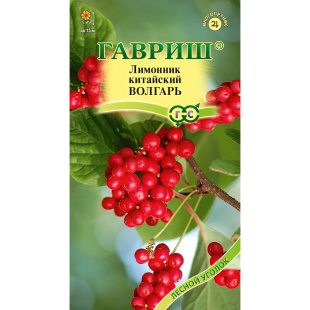 Лимонник Волгарь китайский [Гавриш]