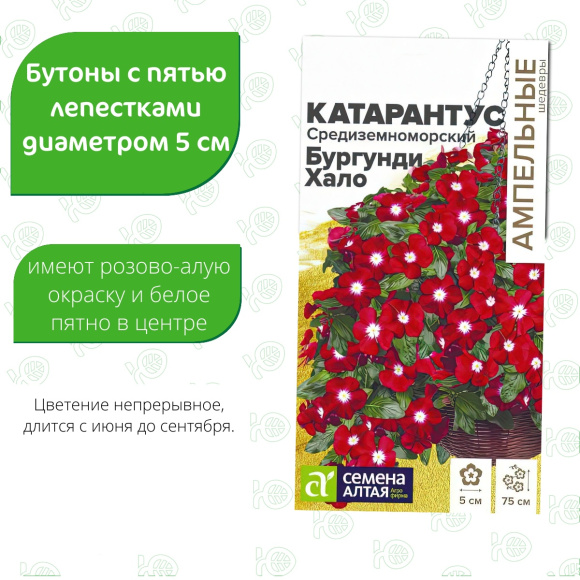 Катарантус Средиземноморский Бургунди Хало [Семена алтая] купить с доставкой