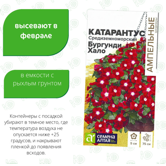 Катарантус Средиземноморский Бургунди Хало [Семена алтая] купить с доставкой