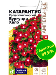 Катарантус Средиземноморский Бургунди Хало [Семена алтая]