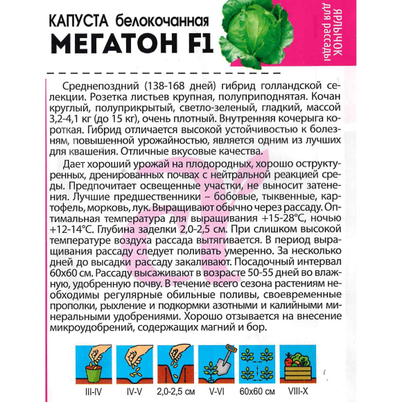 Капуста Мегатон [Семена алтая] купить с доставкой