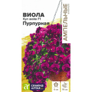 Виола Кул Вейв Пурпурная ампельная [Семена алтая]