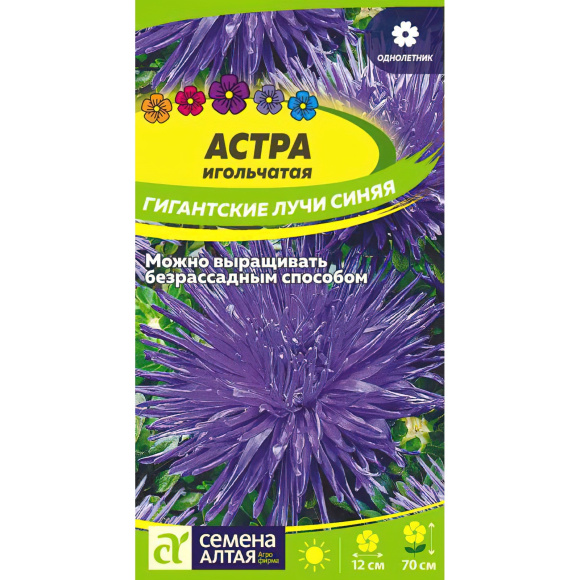 Астра Гигантские лучи Синяя [Семена алтая] купить с доставкой