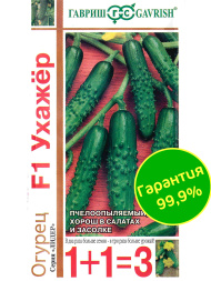 Огурец Ухажер [Гавриш]
