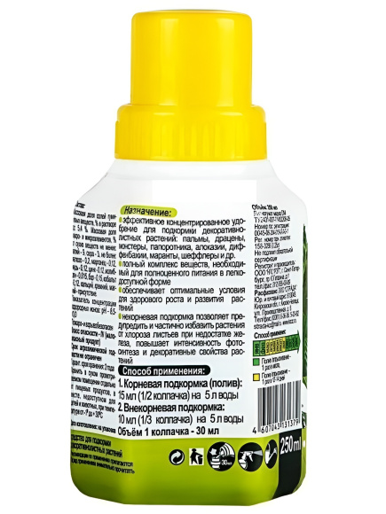 Декоративнолистные растения 0,25 л [JOY] купить с доставкой