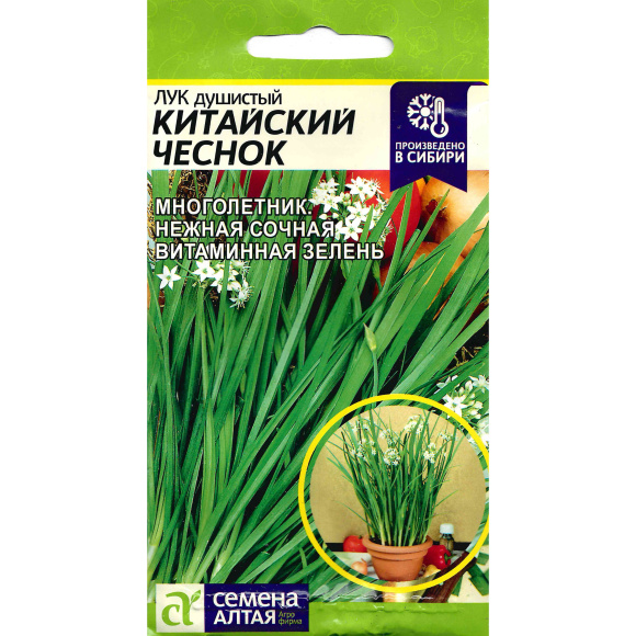 Лук Душистый Китайский Чеснок [Семена алтая] купить с доставкой