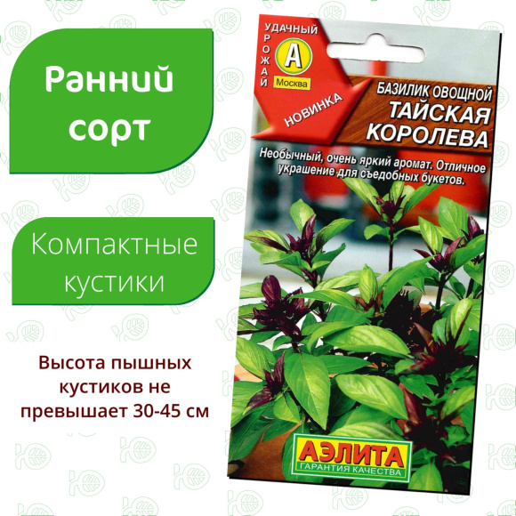 Базилик овощной Тайская королева [Аэлита] купить с доставкой