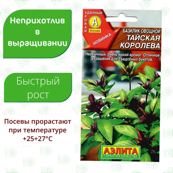 Базилик овощной Тайская королева [Аэлита] купить с доставкой