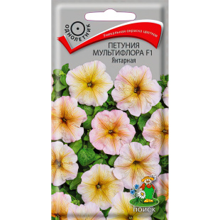 Петуния мультифлора Янтарная [Поиск]