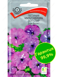 Петуния мультифлора Дот Стар Дарк Виолет [Поиск]