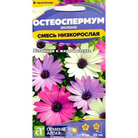 Остеоспермум Смесь низкорослая [Семена алтая] купить с доставкой