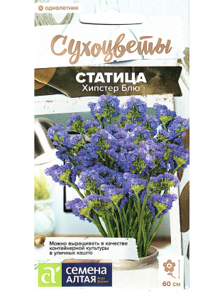 Статица Хипстер Блю [Семена алтая]