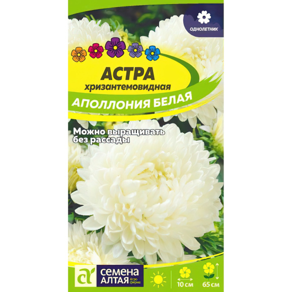 Астра Аполлония Белая [Семена алтая] купить с доставкой