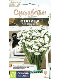 Статица Хипстер Вайт [Семена алтая]