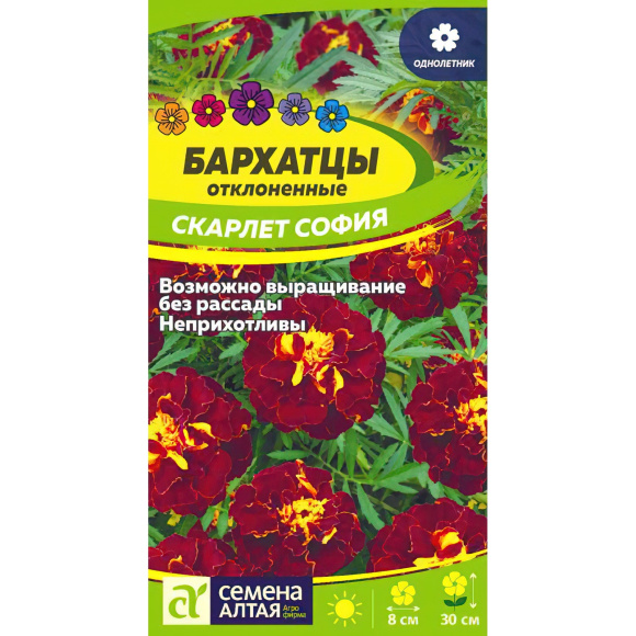Бархатцы Скарлет София махровые [Семена алтая] купить с доставкой