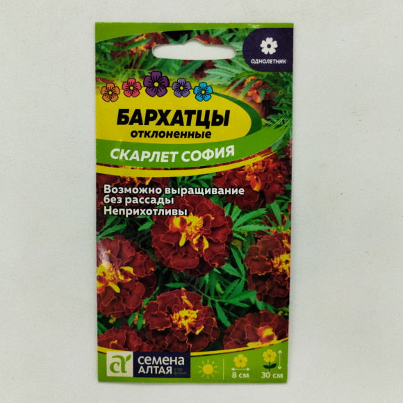 Бархатцы Скарлет София махровые [Семена алтая] купить с доставкой