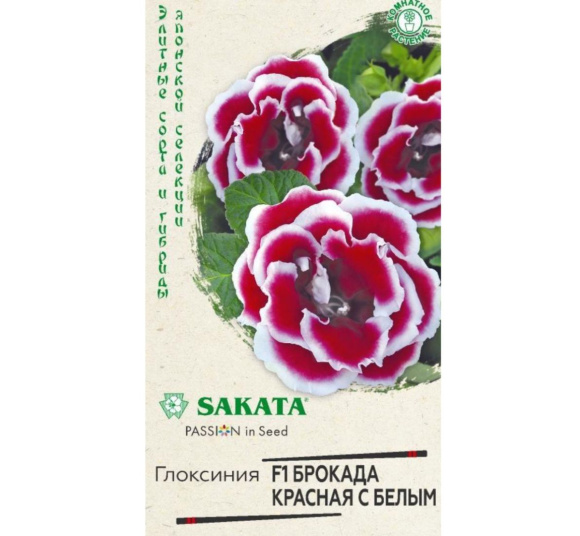 Глоксиния Брокада Красная с Белым [Гавриш] купить с доставкой