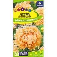 Астра Абрикосовая Мечта [Семена алтая]