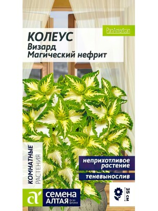 Колеус Визард Магический Нефрит [Семена алтая]