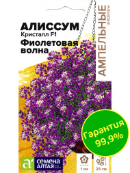 Алиссум Кристалл Фиолетовая Волна ампельный [Семена алтая]