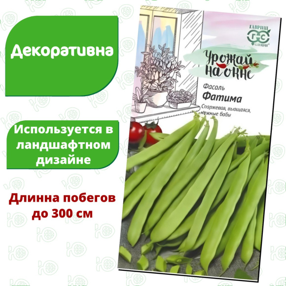 Фасоль Фатима [Гавриш] купить с доставкой