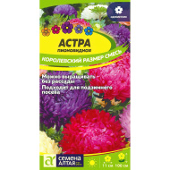 Астра Королевский размер Смесь [Семена алтая]