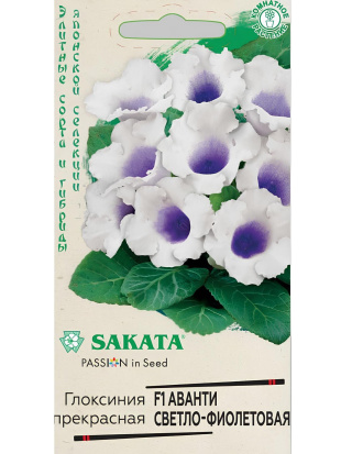 Глоксиния Аванти Светло-фиолетовая [Гавриш]