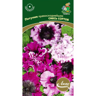 Петуния превосходнейшая Смесь сортов [Поиск]